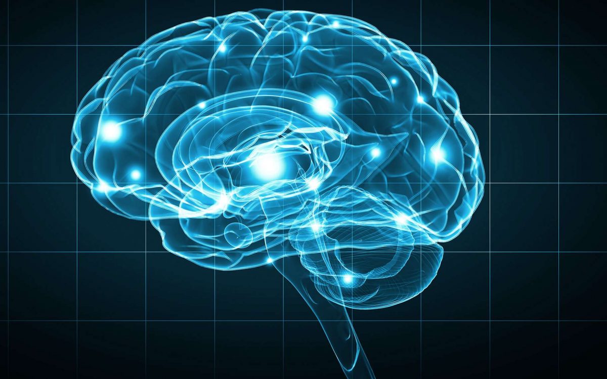 Article : Le retour sous condition des cerveaux